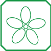 Fiore (colore): BIANCO