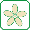 Fiore (colore): BIANCO CREMA