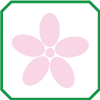 Fiore (colore): DA ROSA CHIARO A ROSSO BRONZEO