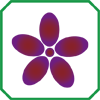 Fiore (colore): ROSSO PORPORA-VIOLETTO
