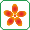 Fiore (colore): ROSSO - ARANCIO