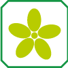 Fiore (colore): VERDE CHIARO