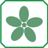 Fiore (colore): VERDE OLIVASTRO
