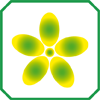 Fiore (colore): VERDE-GIALLO