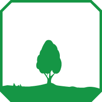 Tipologia Pianta: GRANDE ARBUSTO O PICCOLO ALBERO