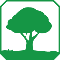 Tipologia Pianta: ARBUSTO O ALBERO